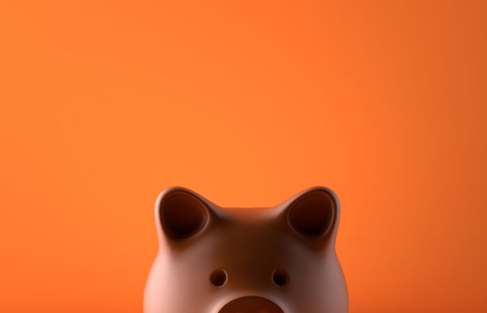 Hidden Retirement Costs—What You Don’t Plan for Can Impact Your Finances Memorial Asset Protection Plan